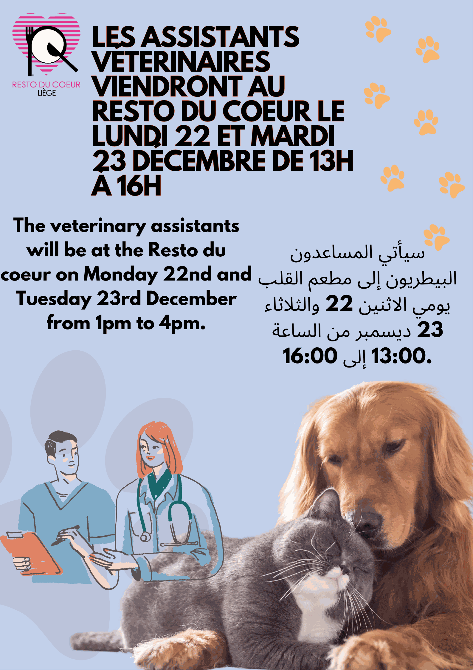 Odoo image et bloc de texte